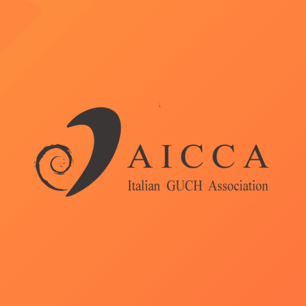 The A.I.C.C.A. project